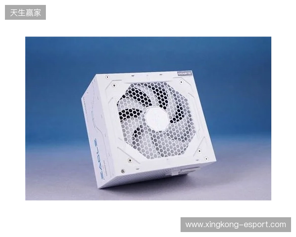 黑白双鹰，白金降临：技嘉猎鹰 冰猎鹰白金电源4月27日开售